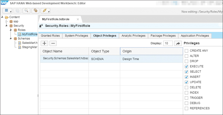 Managing Object Privileges