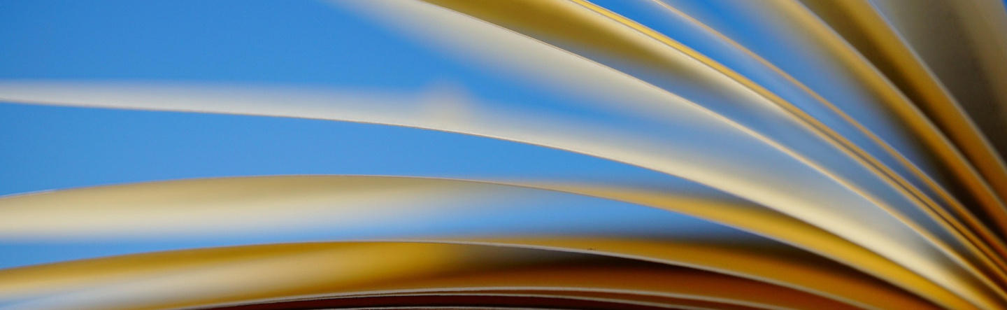 Best Practices for Planning Stories in SAP Analytics Cloud