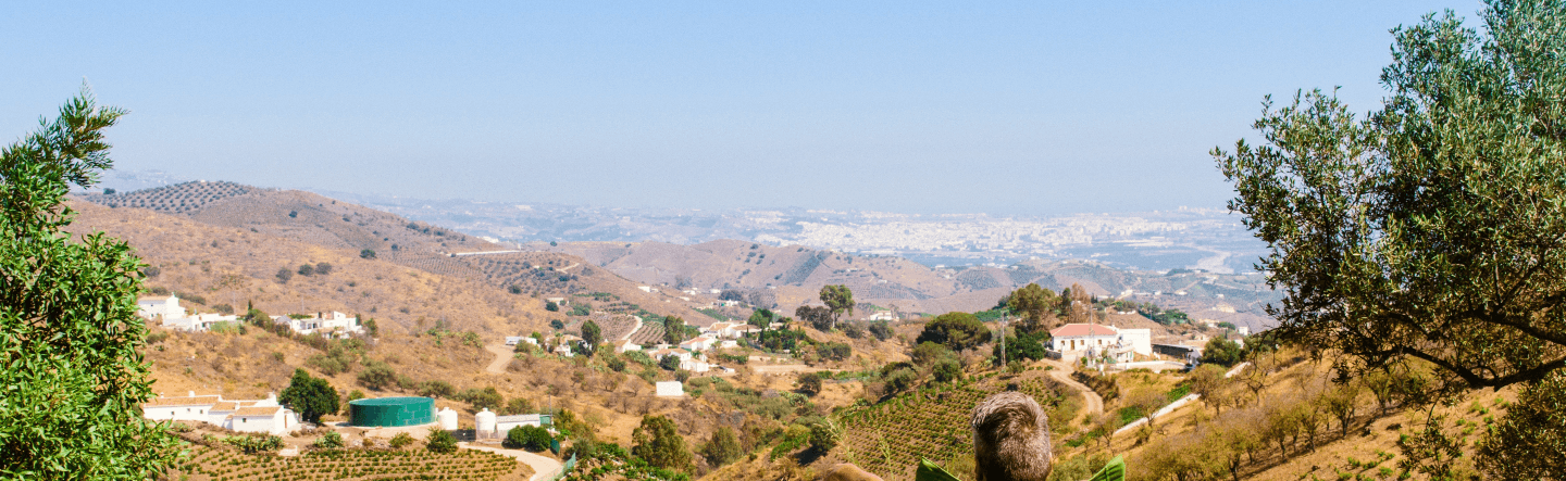 Exploring the Architecture of the ABAP RESTful Application Programming ...