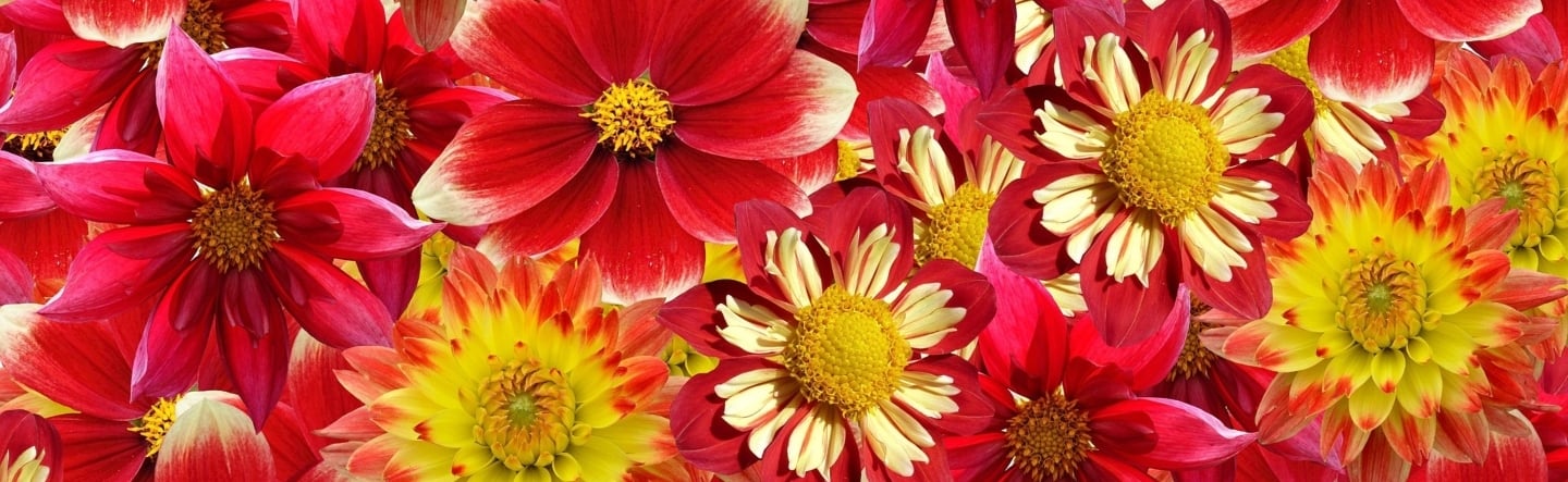 How Associations Are Used in ABAP Programming