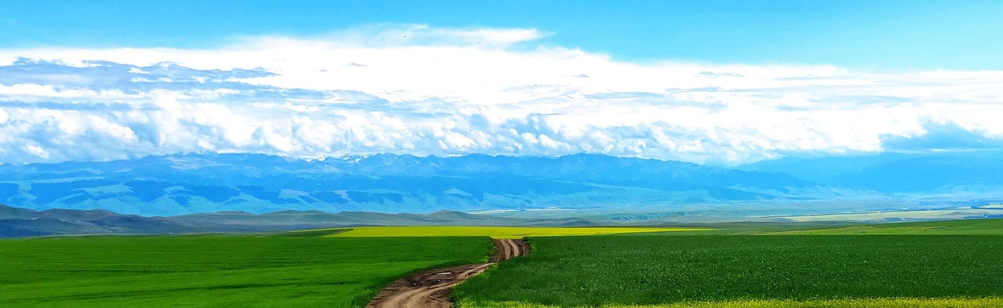How to Best Navigate the Journey to SAP S/4HANA