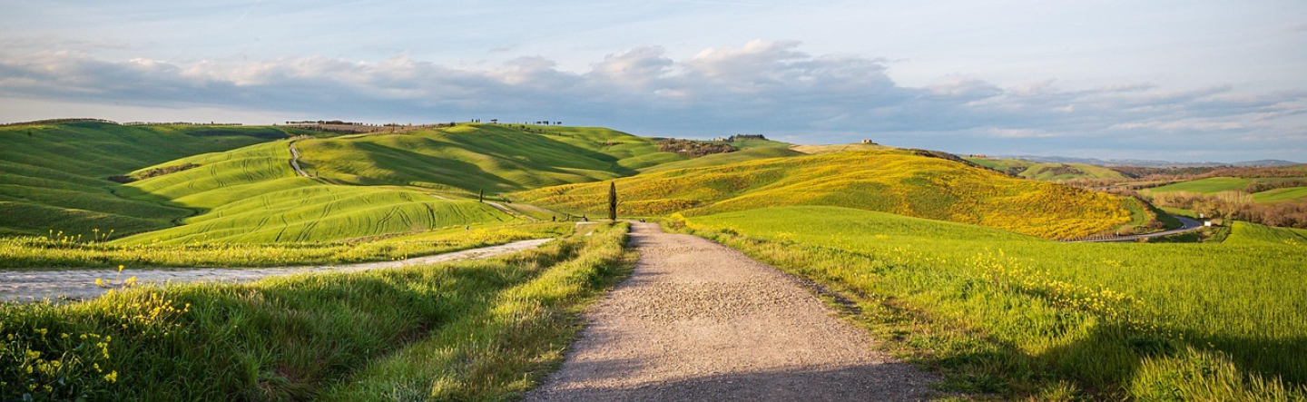 Migration Options for Moving to SAP S/4HANA