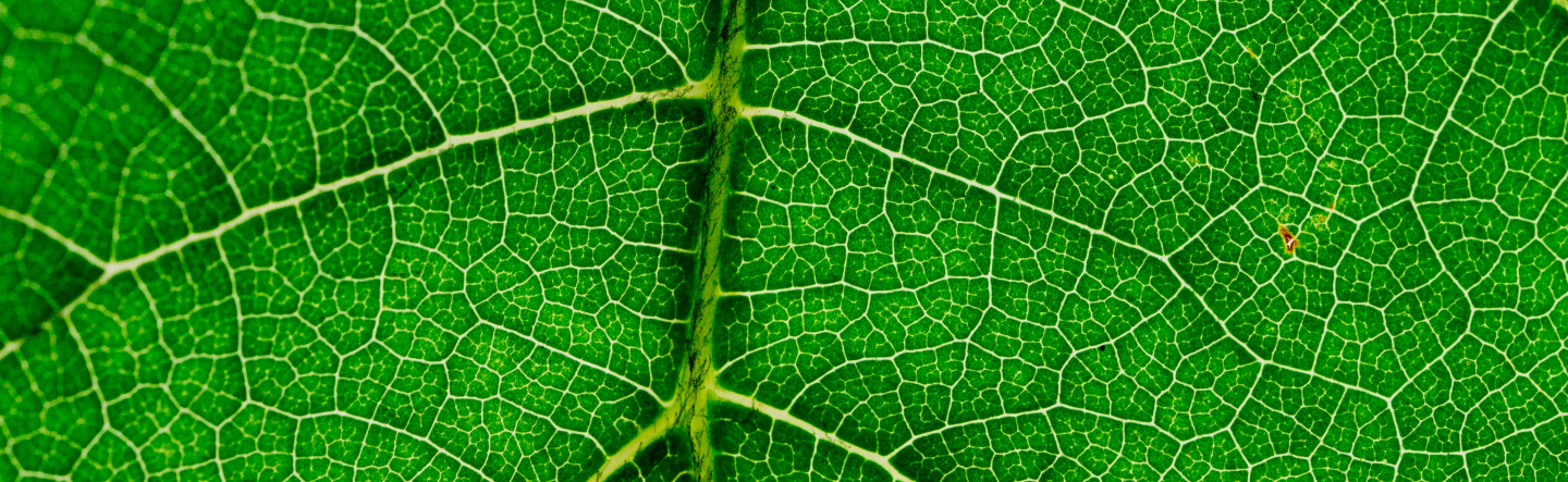 The Principle of Ajax in JavaScript