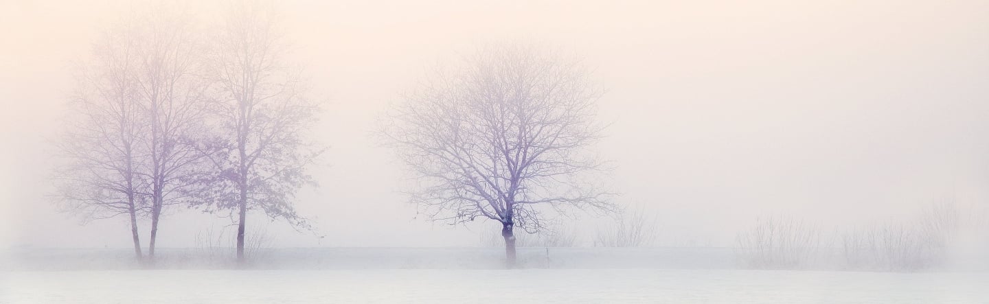 What Is SAP Snowflake?